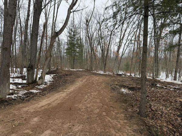 Steinberg Road, Wellston, MI 49689