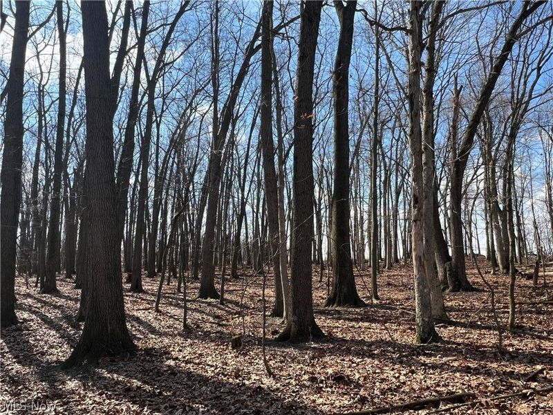 496 Township Road 2402, Lake, OH 44842 Photo 10