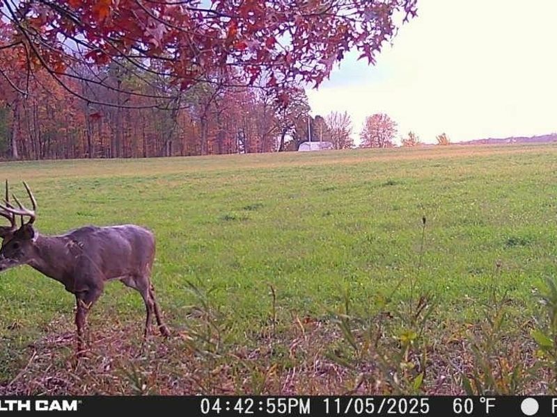 496 Township Road 2402, Lake, OH 44842 Photo 11