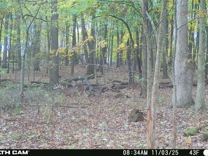 496 Township Road 2402, Lake, OH 44842 Photo 12