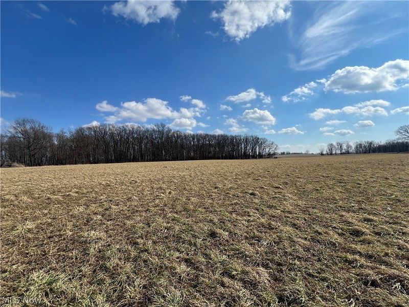 496 Township Road 2402, Lake, OH 44842 Photo 14