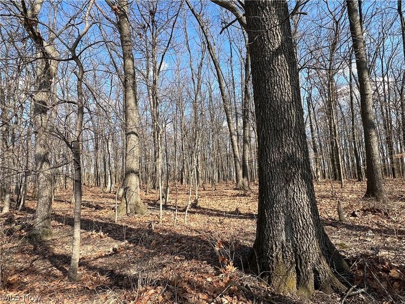 496 Township Road 2402, Lake, OH 44842 Photo 2