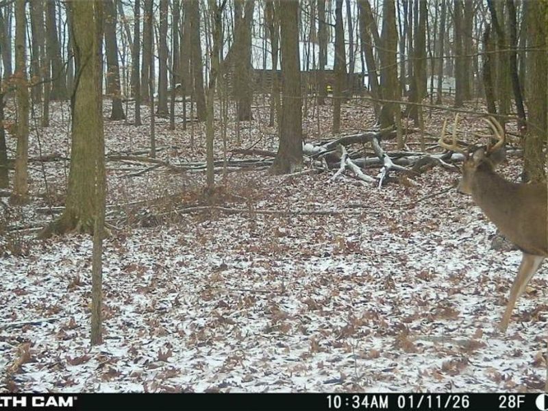 496 Township Road 2402, Lake, OH 44842 Photo 20