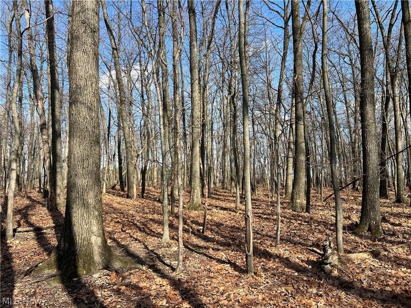 496 Township Road 2402, Lake, OH 44842 Photo 3