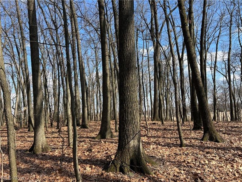 496 Township Road 2402, Lake, OH 44842 Photo 5