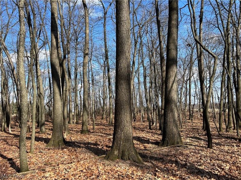 496 Township Road 2402, Lake, OH 44842 Photo 6