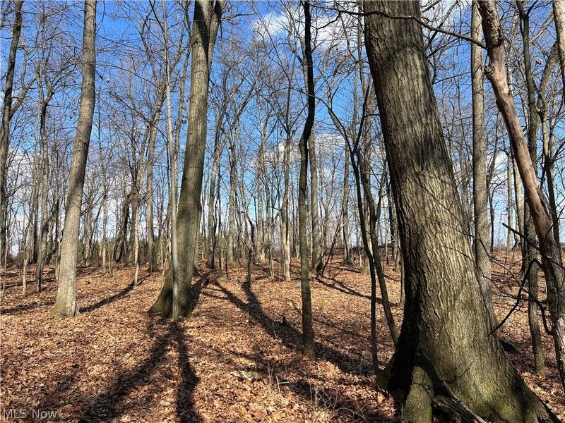 496 Township Road 2402, Lake, OH 44842 Photo 7