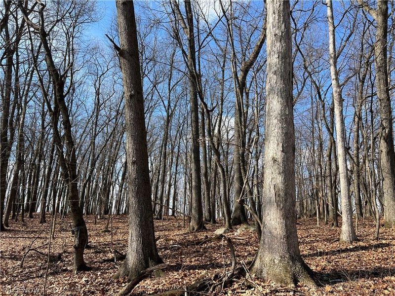 496 Township Road 2402, Lake, OH 44842 Photo 8