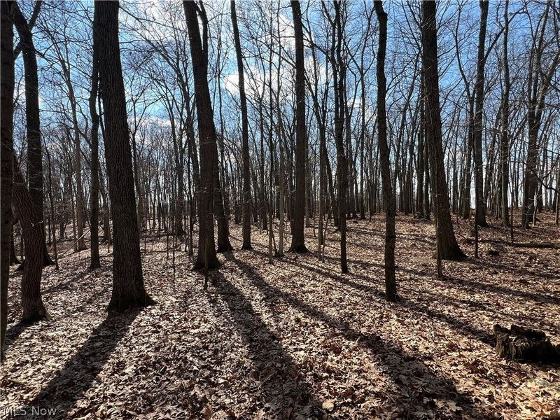 496 Township Road 2402, Lake, OH 44842 Photo 9