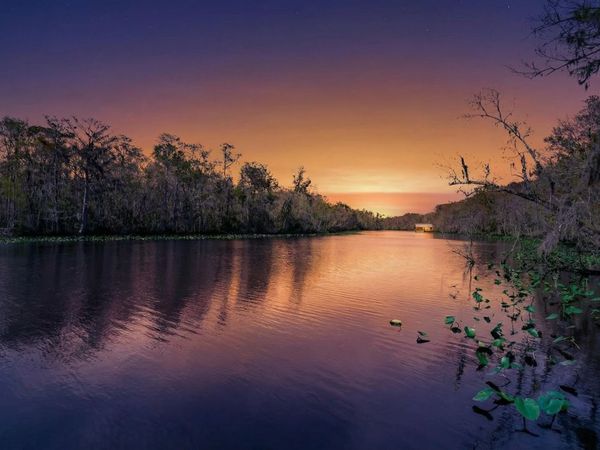 6595 Collier Road, St. Augustine, FL 32092