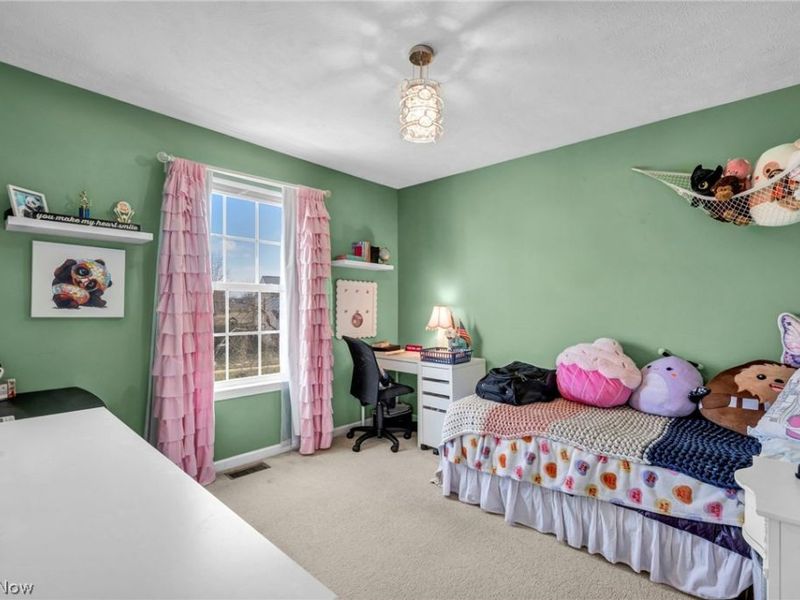 36891 Tail Feather Dr, North Ridgeville, OH 44039 Photo 29