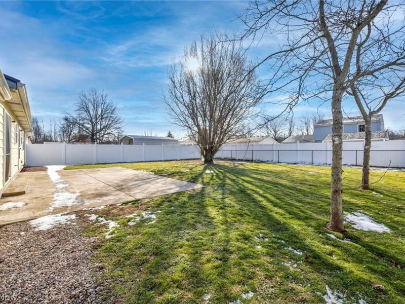 242 Jackson Street, Jefferson, OH 44047 Photo 3