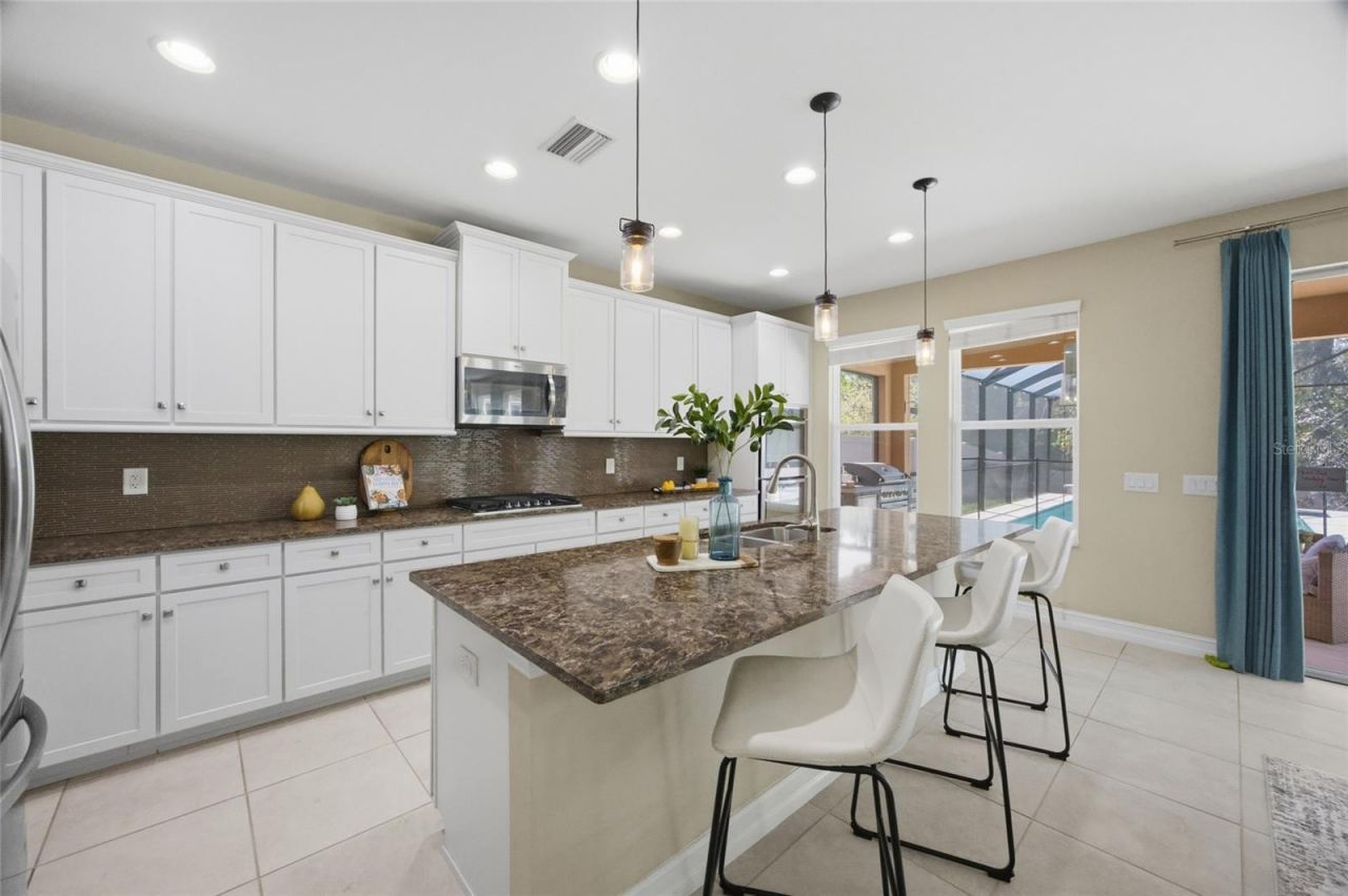 3608 Shadow Arbor Way, Lutz, FL 33548 Photo