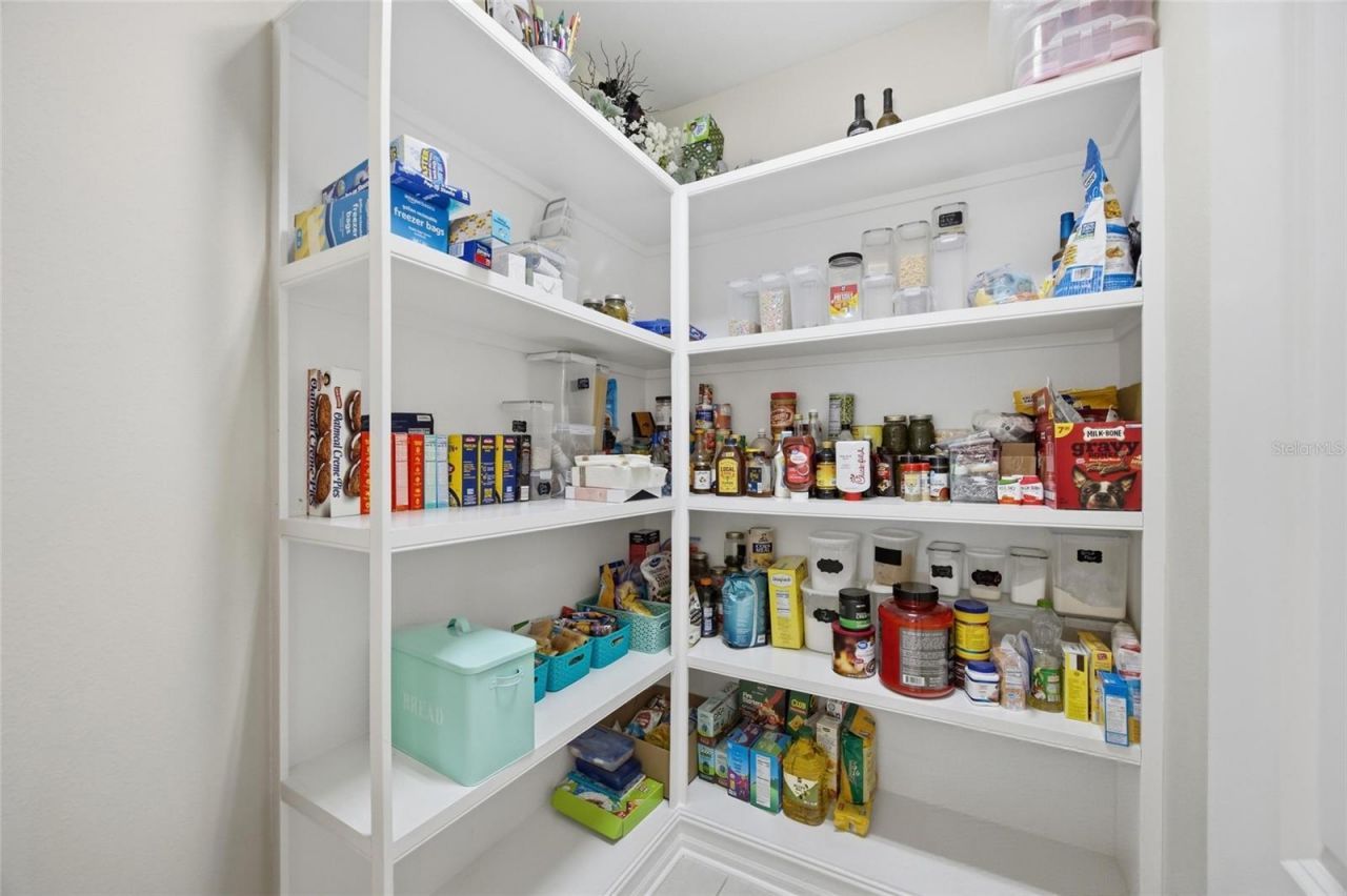 3608 Shadow Arbor Way, Lutz, FL 33548 Photo