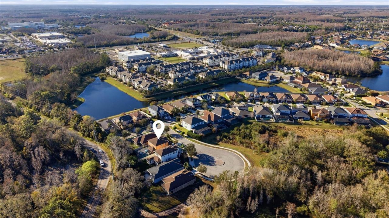 3608 Shadow Arbor Way, Lutz, FL 33548 Photo