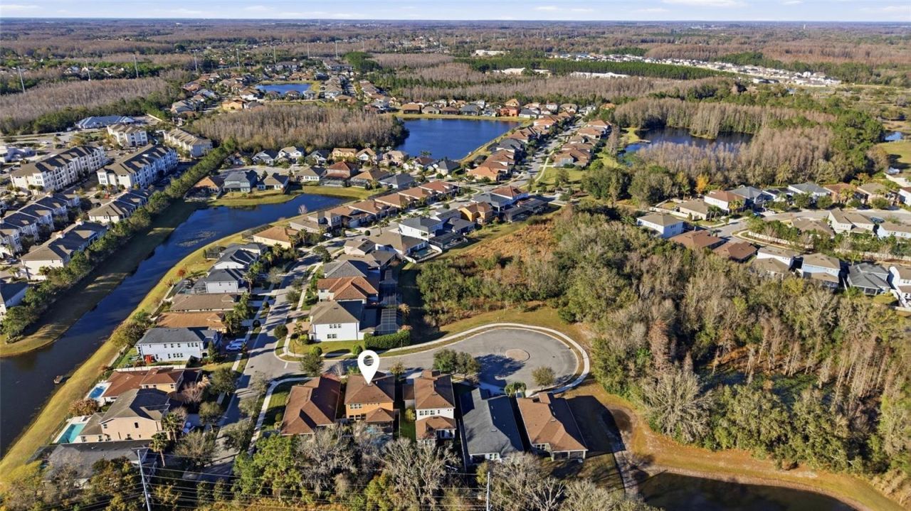 3608 Shadow Arbor Way, Lutz, FL 33548 Photo