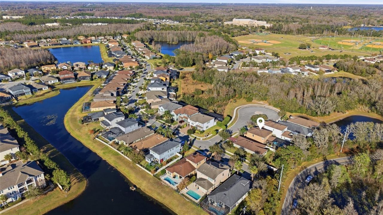 3608 Shadow Arbor Way, Lutz, FL 33548 Photo