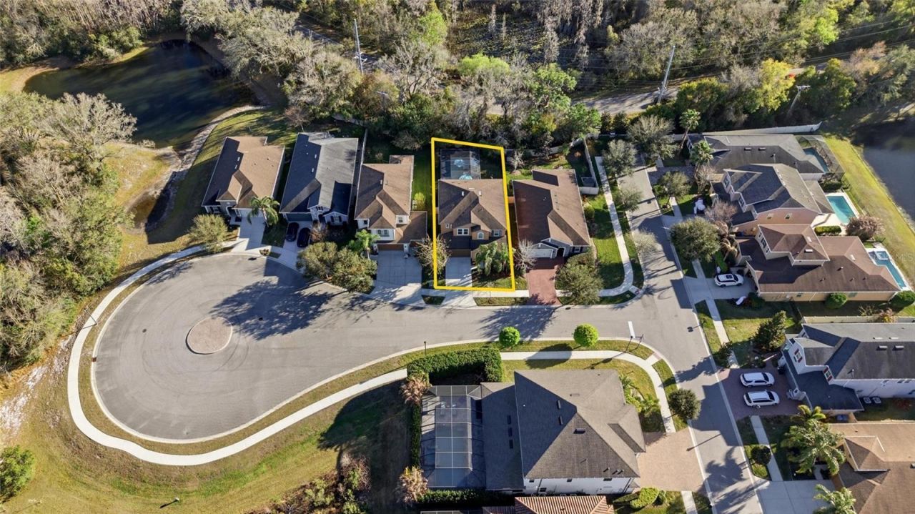 3608 Shadow Arbor Way, Lutz, FL 33548 Photo