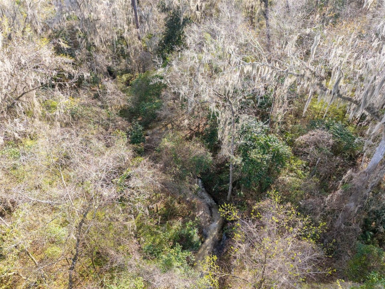 1801 NW 30th Terrace, Gainesville, FL 32605 Photo