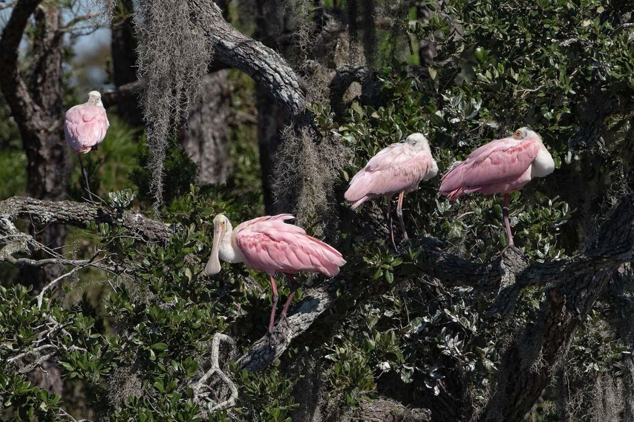 8127 Jack Island Drive Photo 11