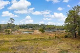 8127 Jack Island Drive photo 4