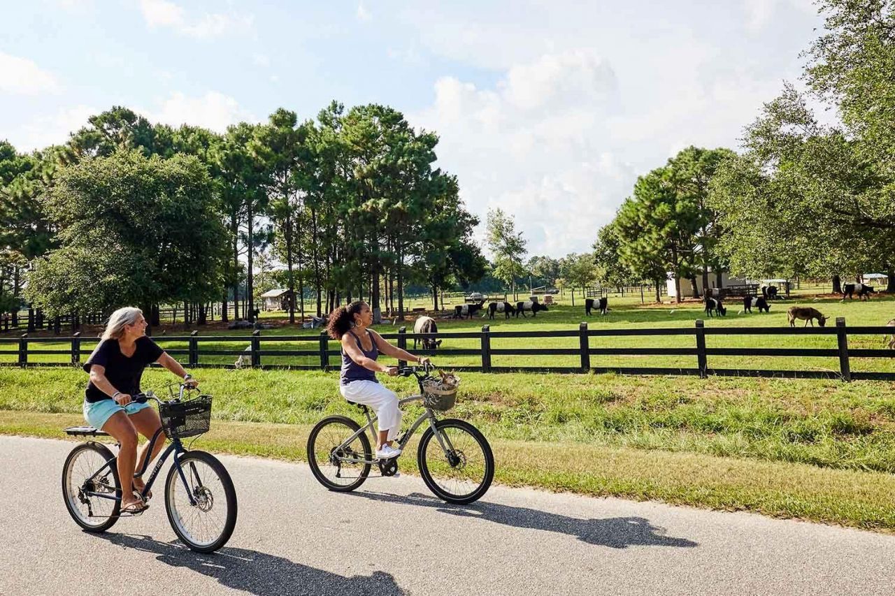 8127 Jack Island Drive Photo 25