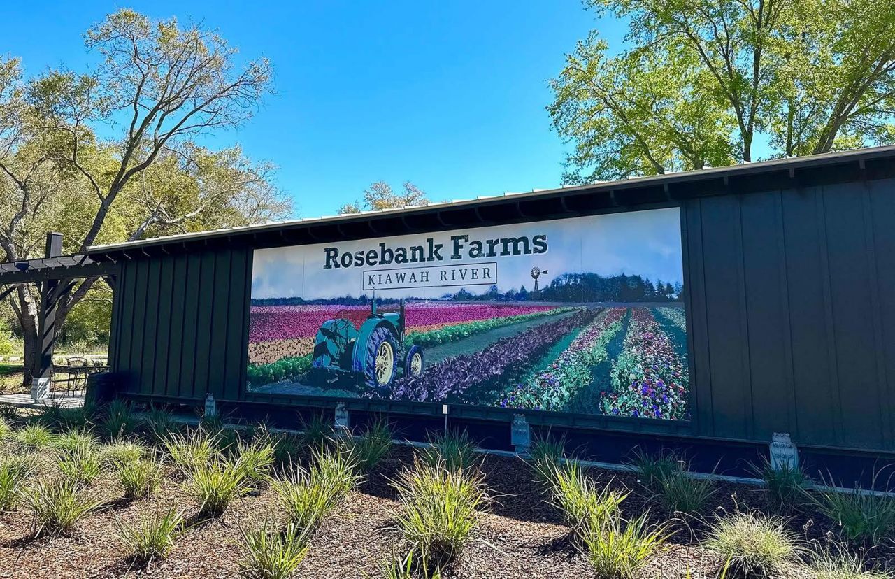 8127 Jack Island Drive Photo 26