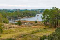 8127 Jack Island Drive photo 4