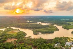 8127 Jack Island Drive photo 4