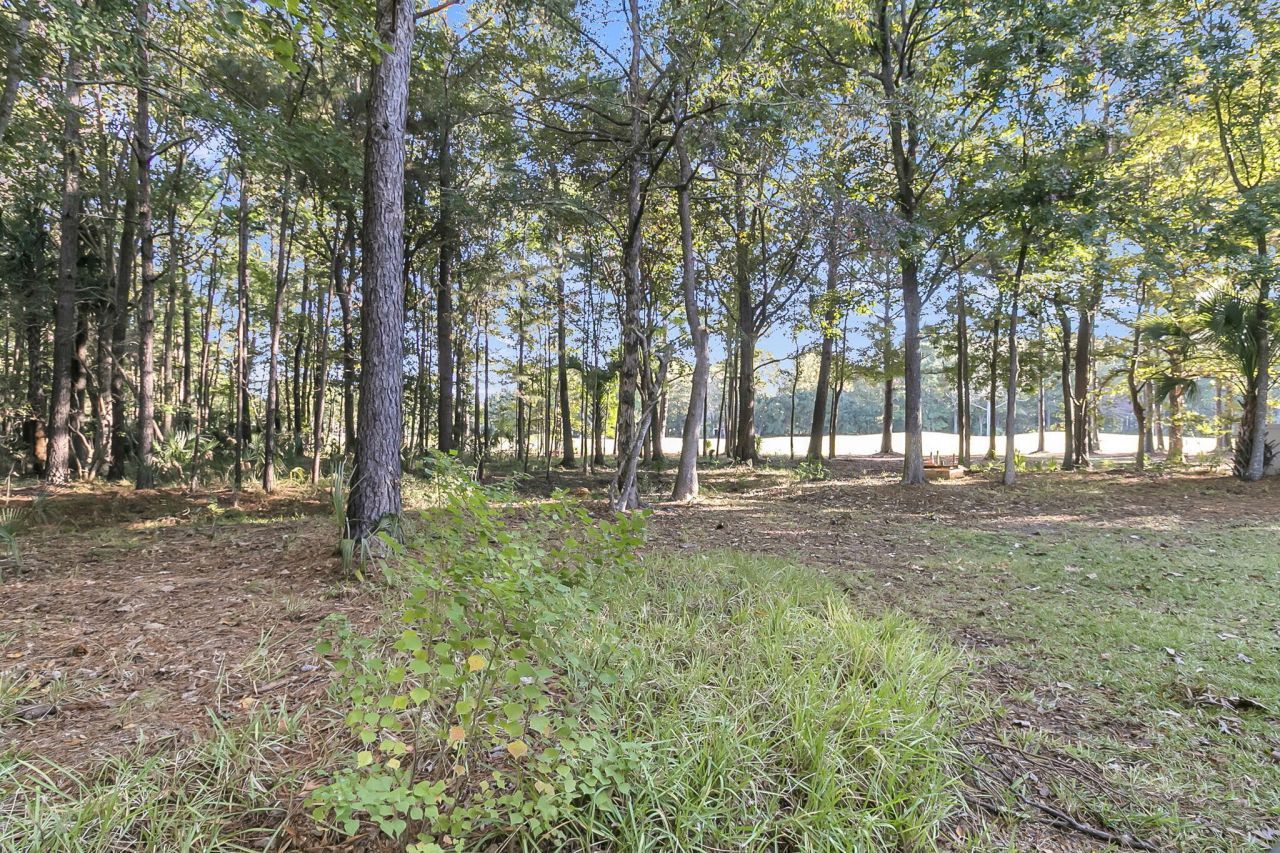 3708 Colonel Vanderhorst Circle Photo 64