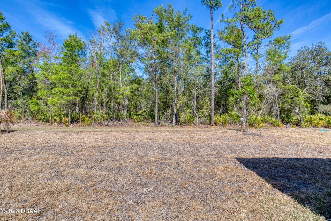 672 Hang Loose Way, Daytona Beach, FL 32124 Photo