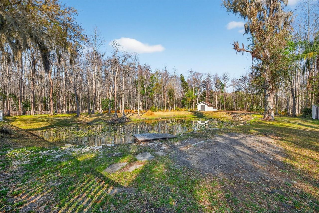 1120 Country Lane, Lutz, FL 33558 Photo