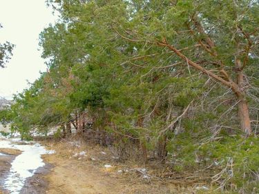 1166 182nd Road, Pleasant Dale, NE 68423