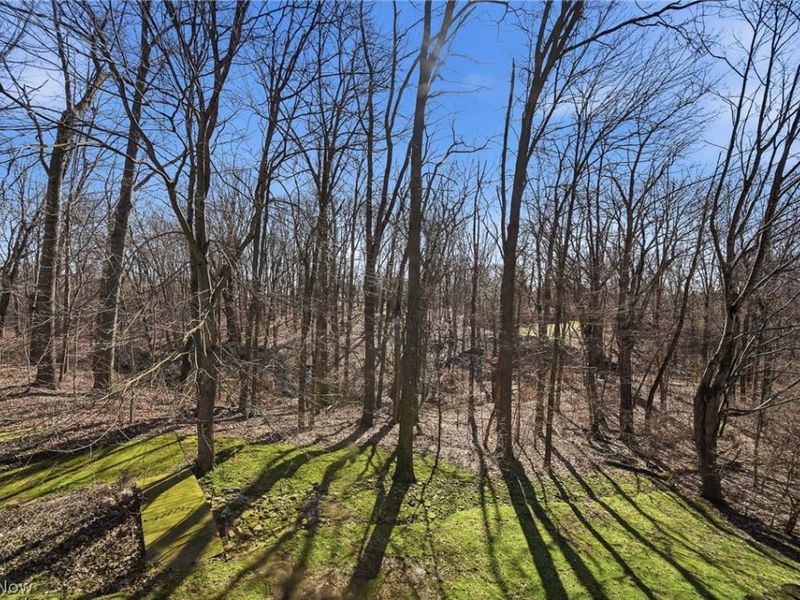 8732 Eastlynn Avenue NW, Massillon, OH 44646 Photo 47