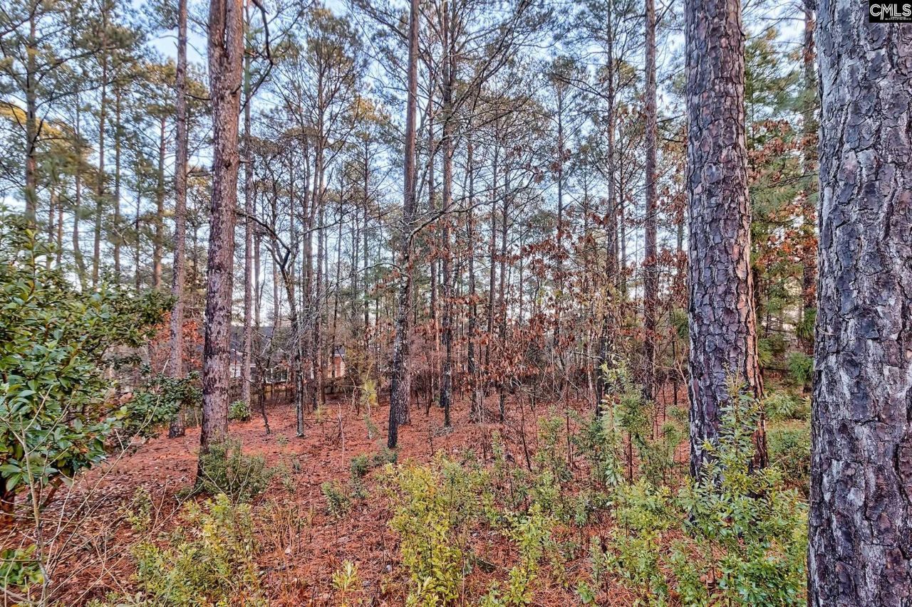 13 Stone Pine Court  Photo 31