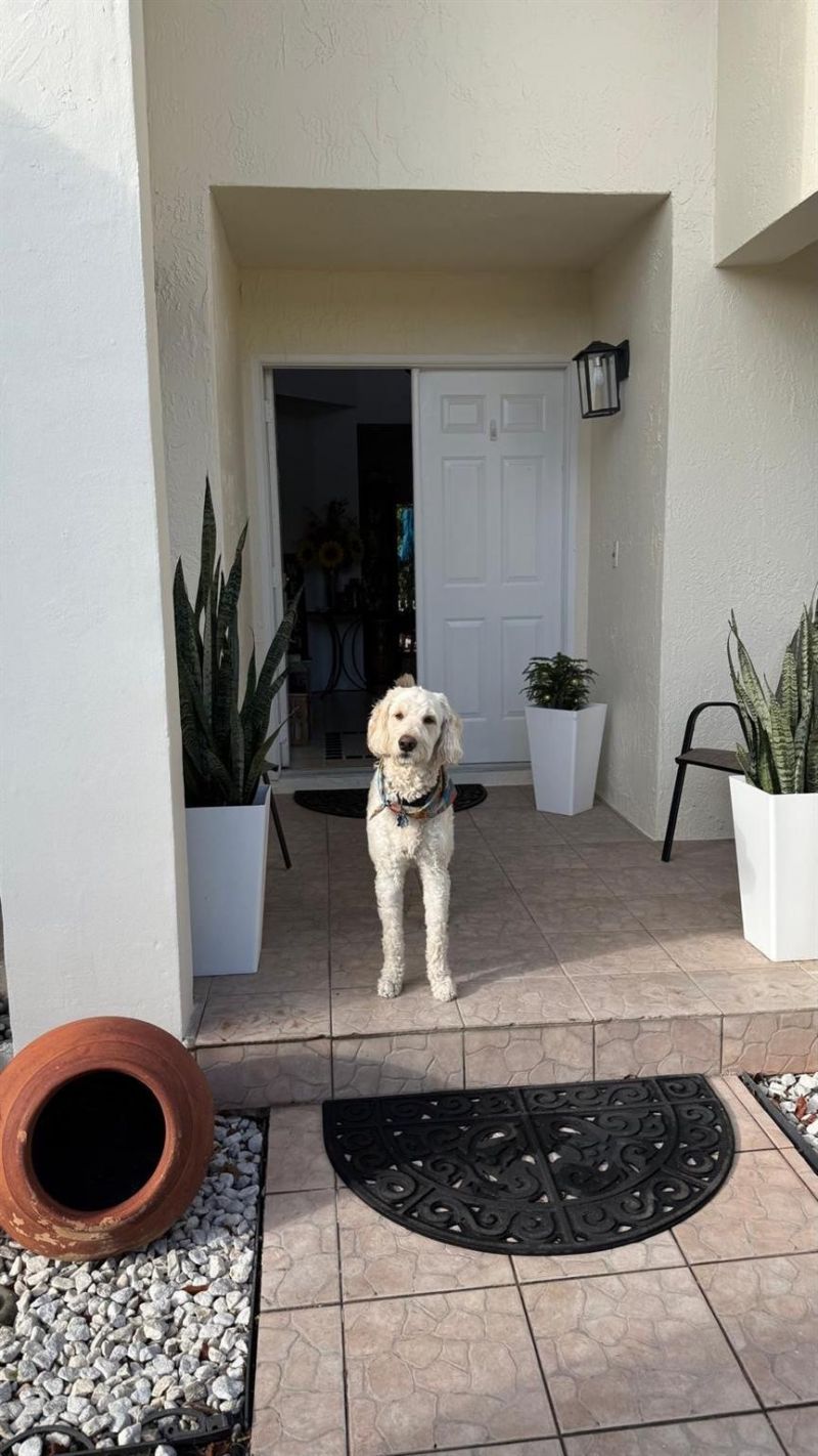 593 Bedford Avenue, Weston, FL 33326 Photo