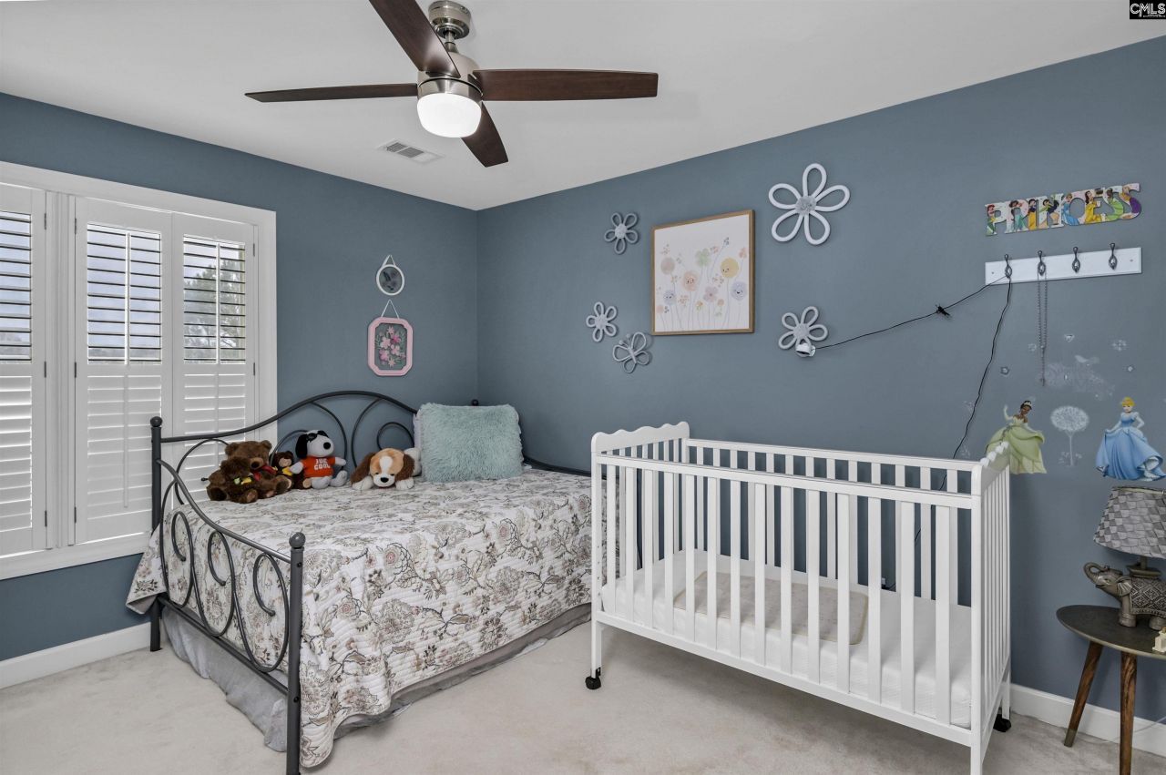 821 Mallard Lakes Drive Photo 26