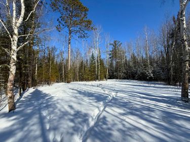 72XXX E Central Lakes Road Lot B, Eveleth, MN 55734