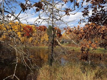 XXX Oriole Court, Browerville, MN 56438