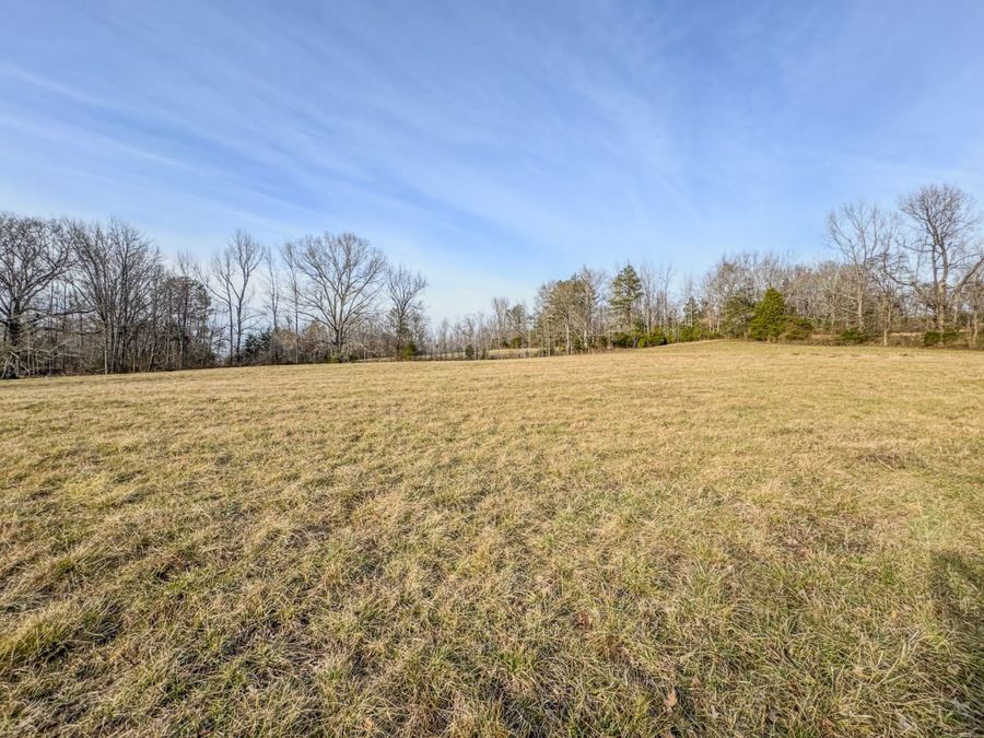 Property Image 61