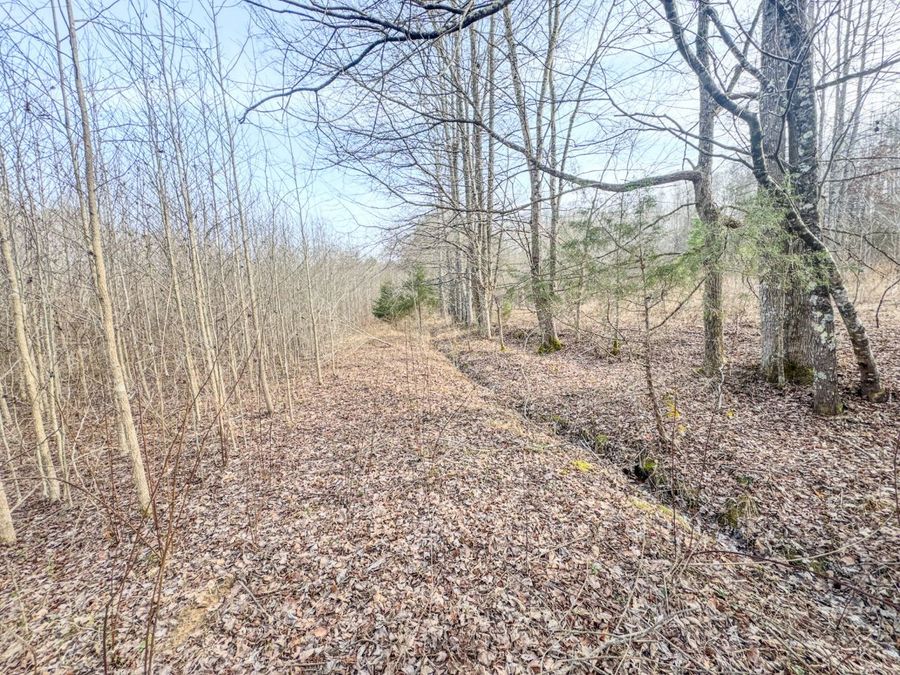 Property Image 64