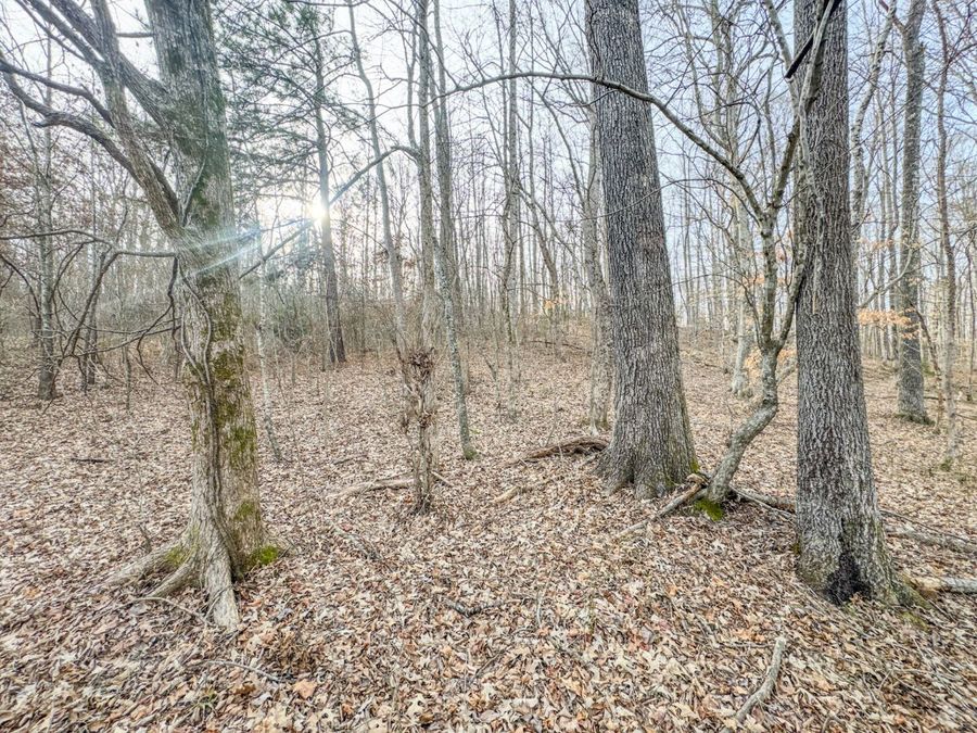 Property Image 66