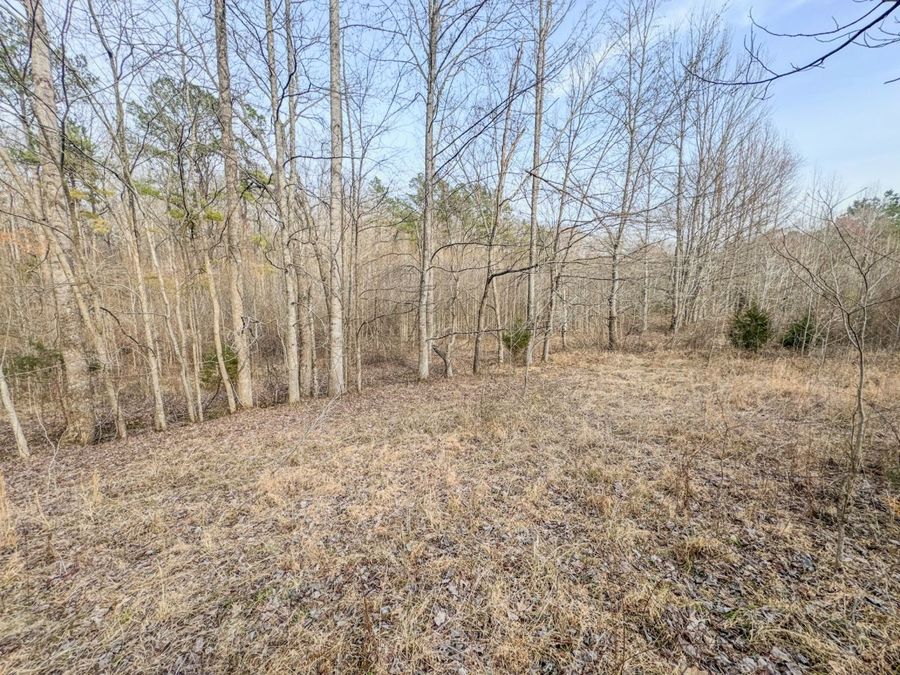 Property Image 69