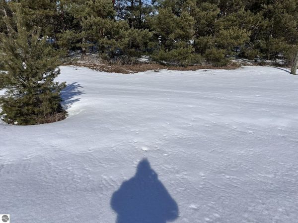 Honor Highway, Interlochen, MI 49643