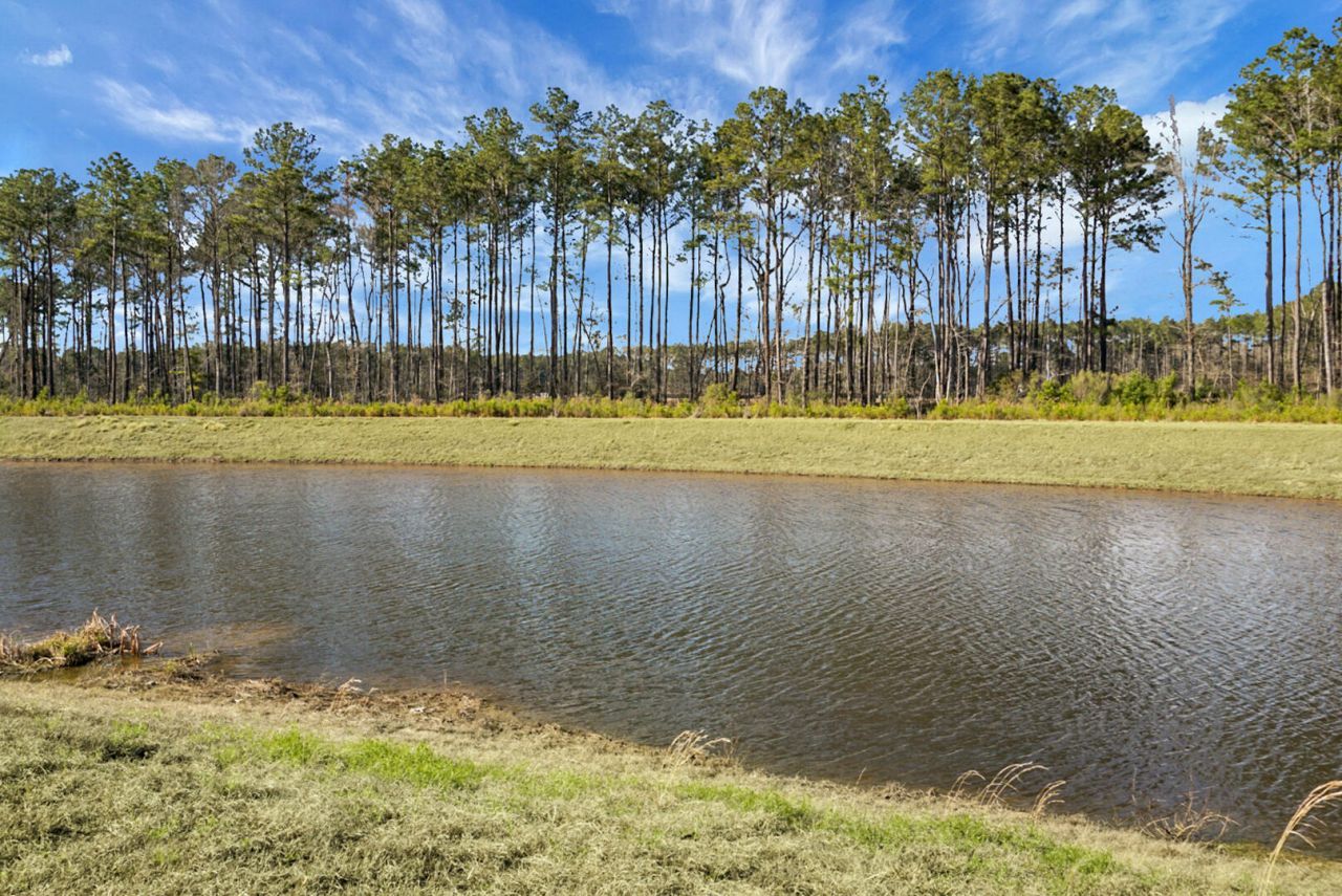 231 Cypress Preserve Boulevard Photo 43