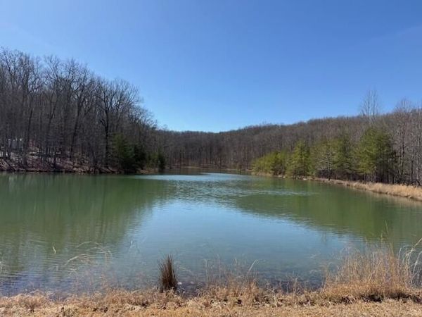 7.1 Sunbeam Lake Loop Road, Dunlap, TN 37327