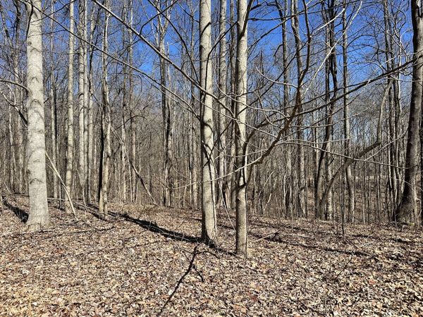 297 Tennis Center Drive , Smithville, TN 37166