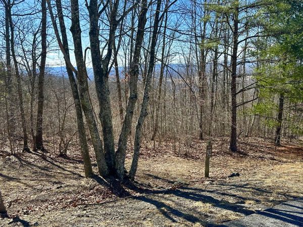 Lot 92 White Rock Trail, Caldwell, WV 24925