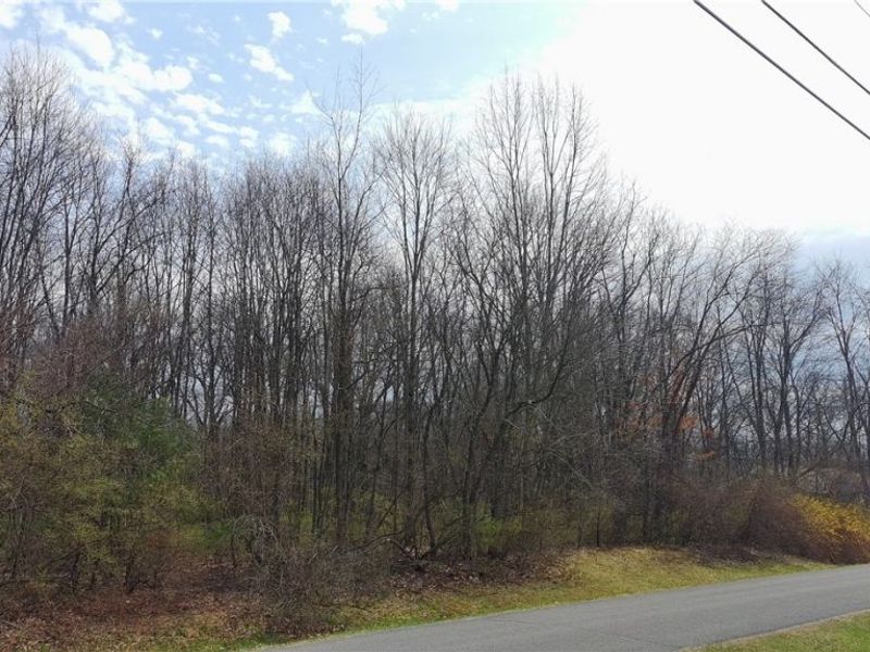 9188 S Yuma Trail, Negley, OH 44441 Photo 34