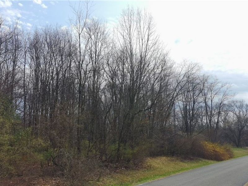 9188 S Yuma Trail, Negley, OH 44441 Photo 35